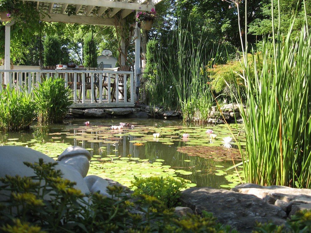 Carrousel Bed & Breakfast Cayuga Extérieur photo